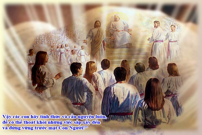 Evangelho de sábado, 29 de novembro de 2025: Sábado XXXIV do Tempo Comum