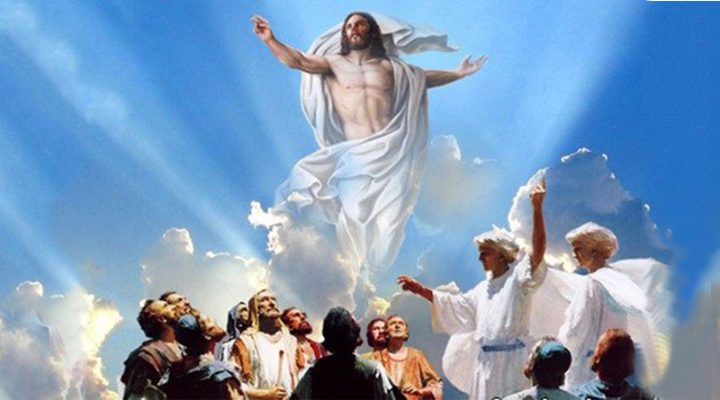 Evangelho de quarta-feira, 3 de dezembro de 2025: Quarta-feira da 1 semana do Advento