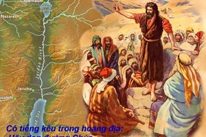 Evangelho de domingo, 7 de dezembro de 2025: Domingo II (A) do Advento