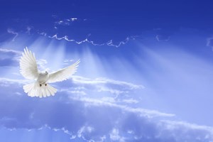 Evangelho de quarta-feira, 28 de maio de 2025: Quarta-feira da 6 semana da Páscoa