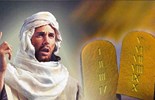 Evangelho de quarta-feira, 11 de junho de 2025: 11 de junho: São Barnabé, Apóstolo