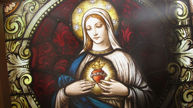 Evangelho de sábado, 28 de junho de 2025: Imaculado Coração da Virgem Santa Maria