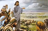 Evangelho de sexta-feira, 11 de julho de 2025: Sexta-feira da 14 semana do Tempo Comum