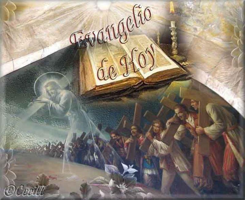 Evangelho de segunda-feira, 14 de julho de 2025: Segunda-feira da 15 semana do Tempo Comum
