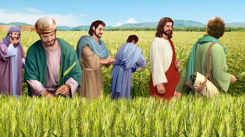 Evangelho de sexta-feira, 18 de julho de 2025: Sexta-feira da 15 semana do Tempo Comum