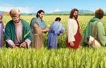 Evangelho de sexta-feira, 18 de julho de 2025: Sexta-feira da 15 semana do Tempo Comum