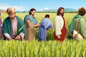 Evangelho de sexta-feira, 18 de julho de 2025: Sexta-feira da 15 semana do Tempo Comum