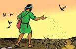 Evangelho de quarta-feira, 23 de julho de 2025: Quarta-feira da 16 semana do Tempo Comum