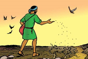 Evangelho de quarta-feira, 23 de julho de 2025: Quarta-feira da 16 semana do Tempo Comum