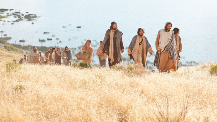 Evangelho de domingo, 6 de julho de 2025: Domingo XIV (C) do Tempo Comum