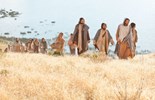 Evangelho de domingo, 6 de julho de 2025: Domingo XIV (C) do Tempo Comum