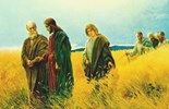 Evangelho de terça-feira, 8 de julho de 2025: Terça-feira da 14 semana do Tempo Comum