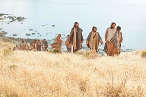 Evangelho de quarta-feira, 9 de julho de 2025: Quarta-feira da 14 semana do Tempo Comum