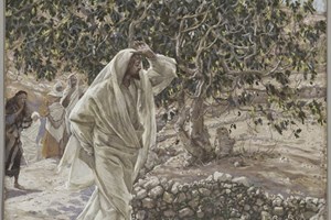 Evangelho de sábado, 13 de setembro de 2025: Sábado XXIII do Tempo Comum