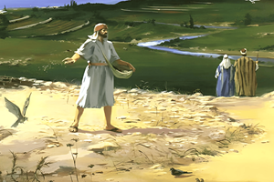 Evangelho de sábado, 20 de setembro de 2025: Sábado XXIV do Tempo Comum