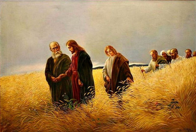 Evangelho de sábado, 6 de setembro de 2025: Sábado XXII do Tempo Comum