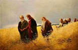 Evangelho de sábado, 6 de setembro de 2025: Sábado XXII do Tempo Comum
