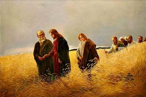 Evangelho de sábado, 6 de setembro de 2025: Sábado XXII do Tempo Comum