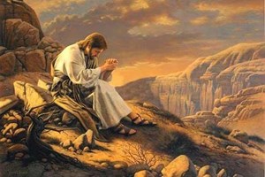 Evangelho de terça-feira, 9 de setembro de 2025: Terça-feira da 23 semana do Tempo Comum