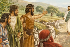 Evangelho de domingo, 18 de janeiro de 2026: Domingo II (A) do Tempo Comum